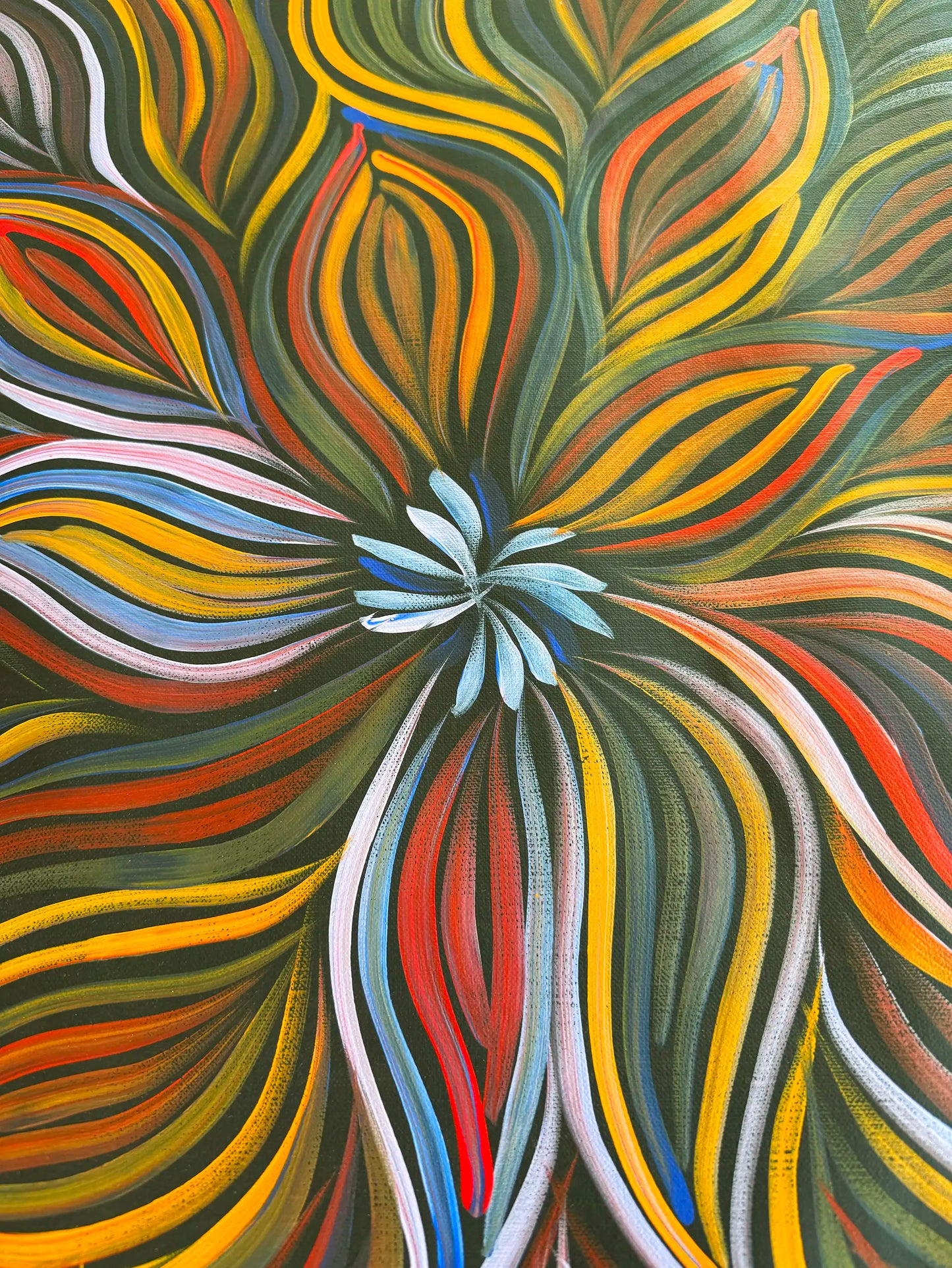 Bush Yam Flower (2015)