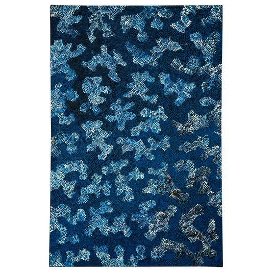 Country Around Mt Liebig (2006)