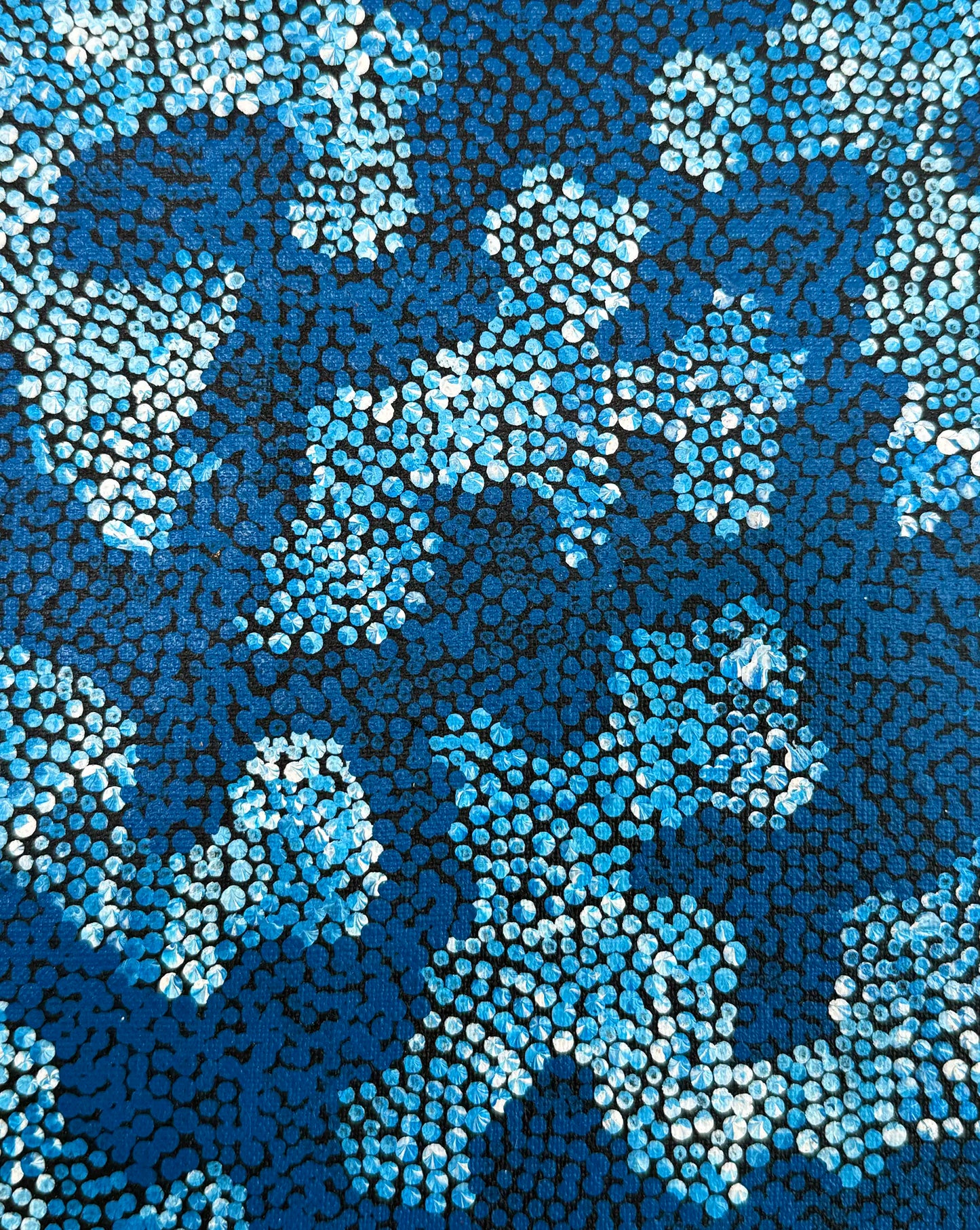 Country Around Mt Liebig (2006)